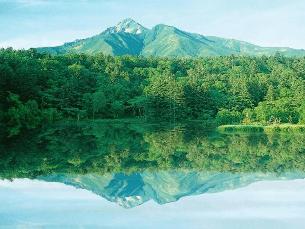 ������Ӧ������